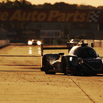 Flickr photo 23-PM7_6996