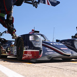 Flickr photo 23-7B1A3066