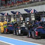 Flickr photo UA-MLMC-2022-Paul-Ricard-205