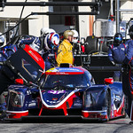 Flickr photo UA-MLMC-2022-Paul-Ricard-290