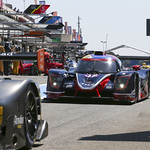 Flickr photo UA-MLMC-2022-Paul-Ricard-232