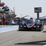 Flickr photo UA-MLMC-2022-Paul-Ricard-233