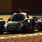 Flickr photo 22-PM6_6277