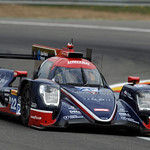 Flickr photo 22-PM6_3985