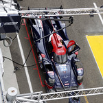 Flickr photo 22-4MDH2523