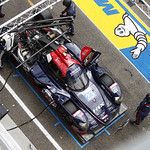 Flickr photo 23-2MDH3488