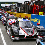 Flickr photo UA-RTLM-2022-238