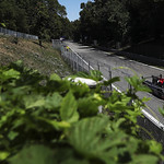 Flickr photo 22-1MDH7873