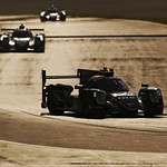 Flickr photo 23-DSC_1712