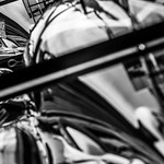 Flickr photo UA-ELMS-Barcelona-2022-468