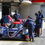 Flickr photo UA-ELMS-Barcelona-2022-048