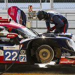 Flickr photo UA-ELMS-Barcelona-2022-097