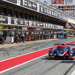 Flickr photo UA-ELMS-Barcelona-2022-368