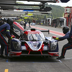 Flickr photo UA-ELMS-Spa-2022-430