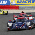 Flickr photo UA-ELMS-Spa-2022-352