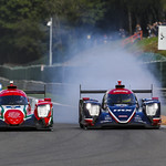 Flickr photo UA-ELMS-Spa-2022-324