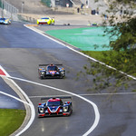 Flickr photo UA-ELMS-Spa-2022-314