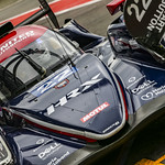 Flickr photo UA-ELMS-Spa-2022-255