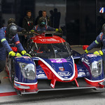 Flickr photo UA-ELMS-Spa-2022-244