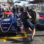 Flickr photo UA-ELMS-Spa-2022-070