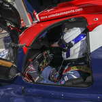 Flickr photo UA-ELMS-Spa-2022-009