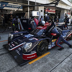 Flickr photo 22-1MDH8837