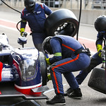 Flickr photo UA-ELMS-Spa-2022-407