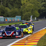 Flickr photo UA-ELMS-Spa-2022-340