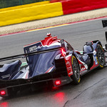 Flickr photo UA-ELMS-Spa-2022-172