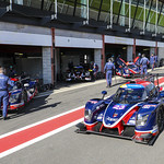 Flickr photo UA-MLMC-Spa-2022-011