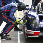 Flickr photo UA-ELMS-Spa-2022-410