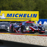 Flickr photo UA-ELMS-Spa-2022-376