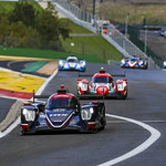 Flickr photo UA-ELMS-Spa-2022-311