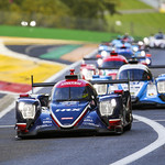 Flickr photo UA-ELMS-Spa-2022-301