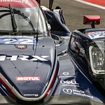 Flickr photo UA-ELMS-Spa-2022-254