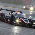 Flickr photo UA-MLMC-Spa-2022-310