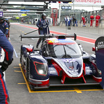 Flickr photo UA-MLMC-Spa-2022-185