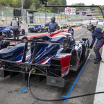Flickr photo UA-ELMS-Spa-2022-246