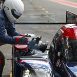 Flickr photo UA-ELMS-Spa-2022-436