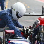 Flickr photo UA-ELMS-Spa-2022-435