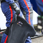 Flickr photo UA-ELMS-Spa-2022-421