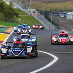 Flickr photo UA-ELMS-Spa-2022-308