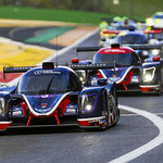 Flickr photo UA-ELMS-Spa-2022-299