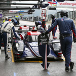 Flickr photo UA-ELMS-Spa-2022-192