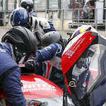 Flickr photo UA-ELMS-Spa-2022-189