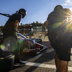 Flickr photo UA-ELMS-Spa-2022-075