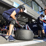 Flickr photo UA-ELMS-Spa-2022-067