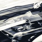 Flickr photo UA-ELMS-Spa-2022-027