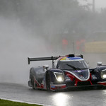 Flickr photo UA-MLMC-Spa-2022-280