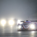 Flickr photo UA-MLMC-Spa-2022-254